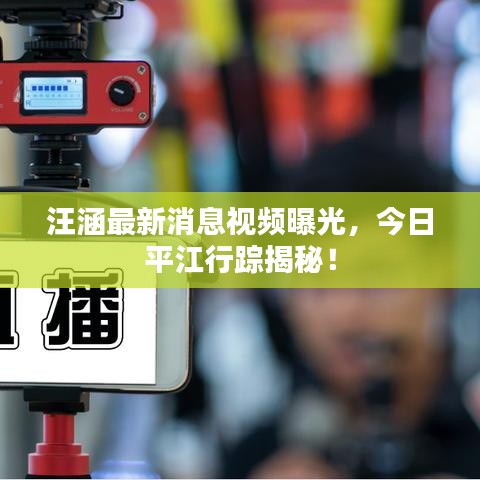 汪涵最新消息视频曝光，今日平江行踪揭秘！
