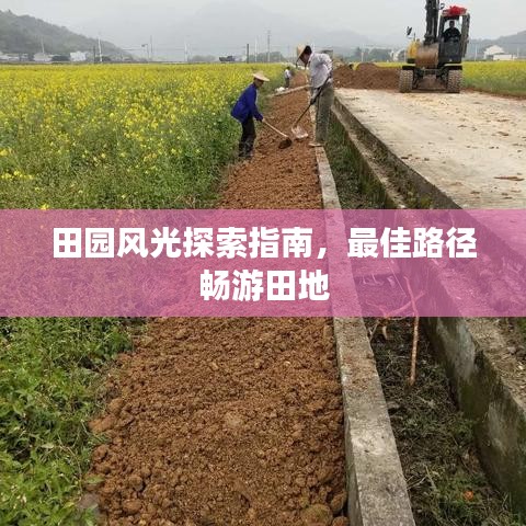 田园风光探索指南，最佳路径畅游田地