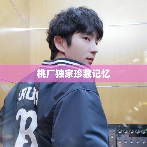 桃厂独家珍藏记忆