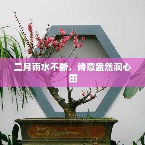 二月雨水不断，诗意盎然润心田