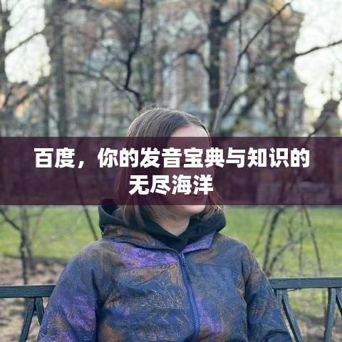 百度，你的发音宝典与知识的无尽海洋