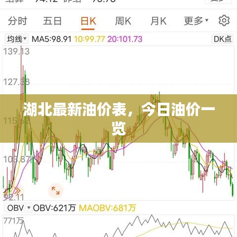 湖北最新油价表，今日油价一览