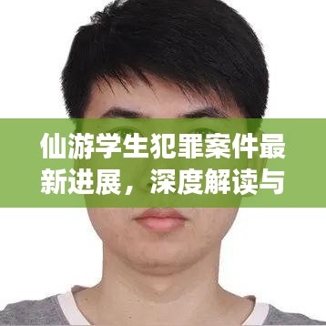 仙游学生犯罪案件最新进展，深度解读与法律解析