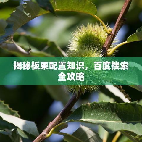 揭秘板栗配置知识，百度搜索全攻略