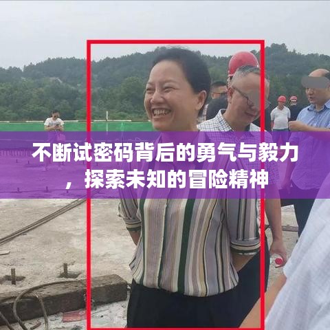 不断试密码背后的勇气与毅力，探索未知的冒险精神