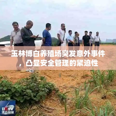 玉林博白养殖场突发意外事件，凸显安全管理的紧迫性
