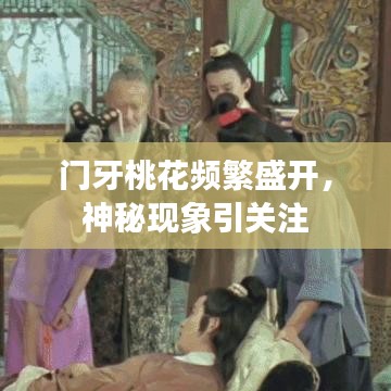 门牙桃花频繁盛开，神秘现象引关注