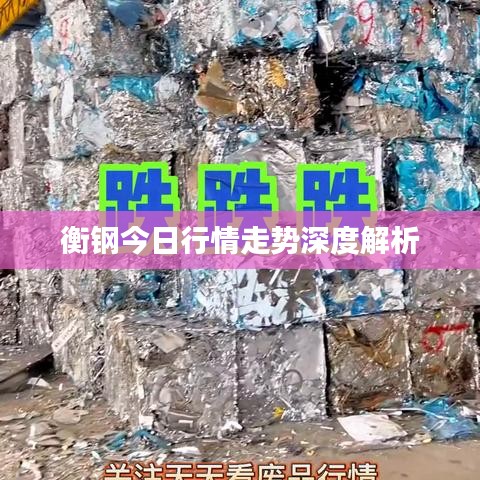 衡钢今日行情走势深度解析