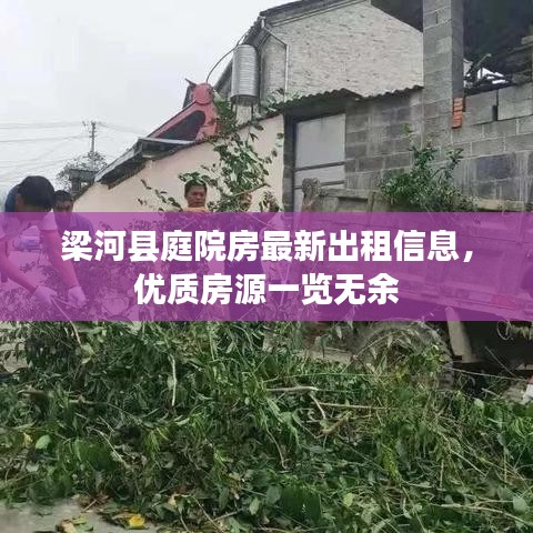 梁河县庭院房最新出租信息，优质房源一览无余