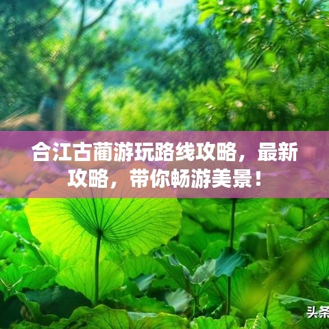 合江古蔺游玩路线攻略，最新攻略，带你畅游美景！