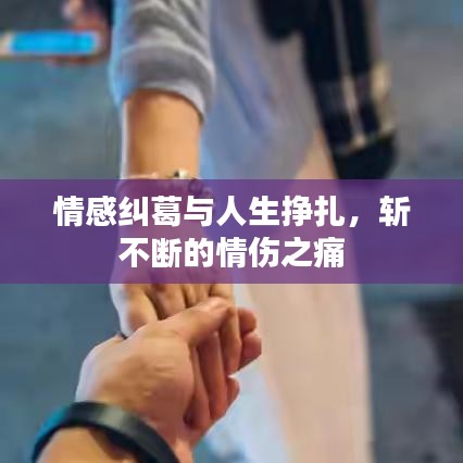 情感纠葛与人生挣扎，斩不断的情伤之痛