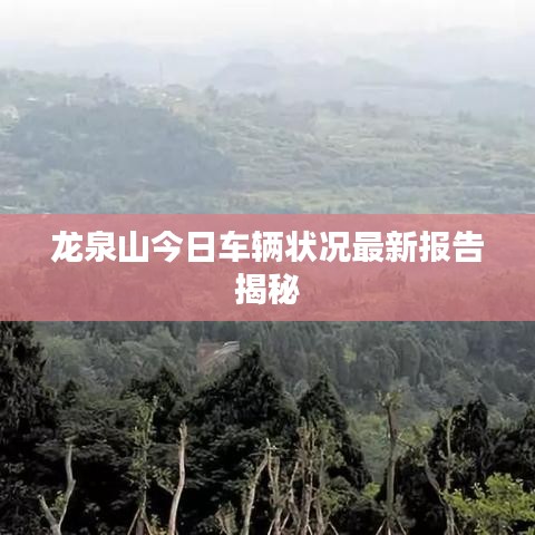龙泉山今日车辆状况最新报告揭秘