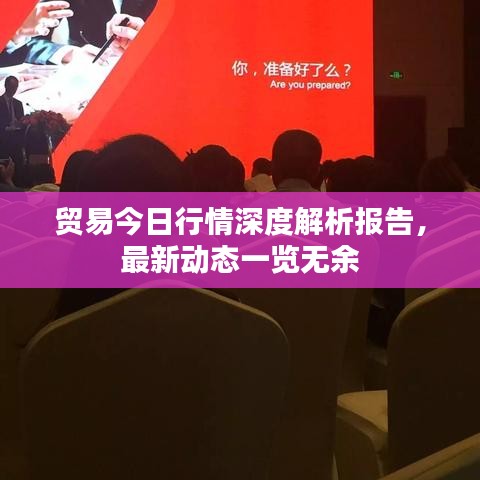 贸易今日行情深度解析报告，最新动态一览无余