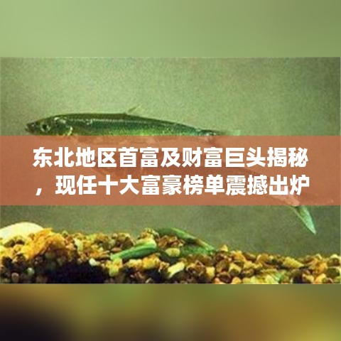 东北地区首富及财富巨头揭秘，现任十大富豪榜单震撼出炉！