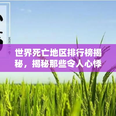 夯雀儿先飞 第3页