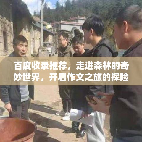 百度收录推荐，走进森林的奇妙世界，开启作文之旅的探险之旅！