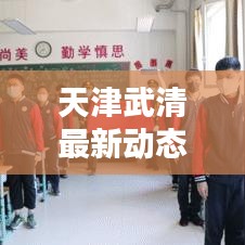 天津武清最新动态更新！