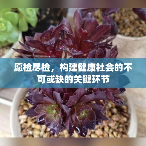 愿检尽检，构建健康社会的不可或缺的关键环节