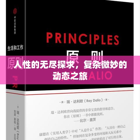 人性的无尽探求，复杂微妙的动态之旅