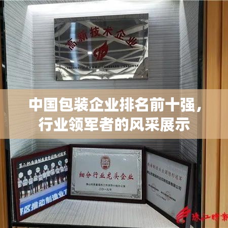 中国包装企业排名前十强，行业领军者的风采展示
