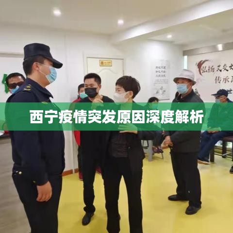 西宁疫情突发原因深度解析