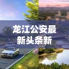 龙江公安最新头条新闻，一睹为快！