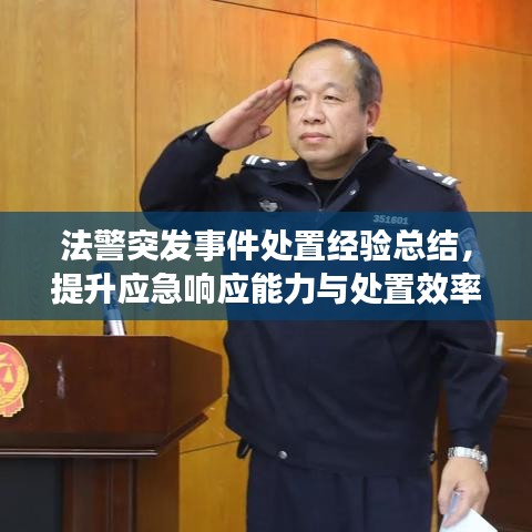 法警突发事件处置经验总结，提升应急响应能力与处置效率