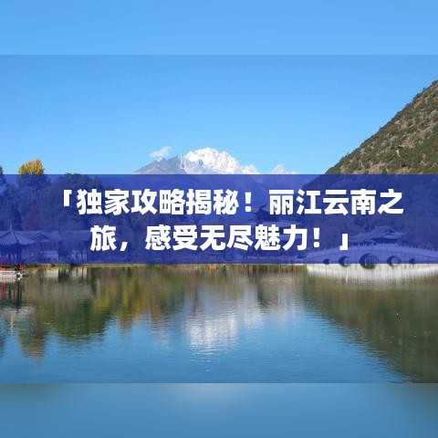 联系我们 第81页