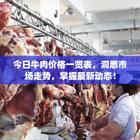 今日牛肉价格一览表，洞悉市场走势，掌握最新动态！