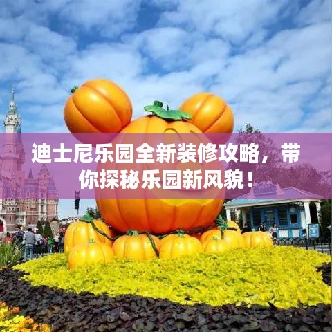 迪士尼乐园全新装修攻略，带你探秘乐园新风貌！