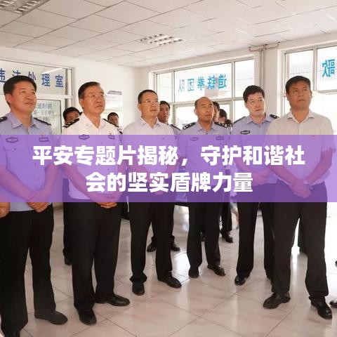 平安专题片揭秘，守护和谐社会的坚实盾牌力量