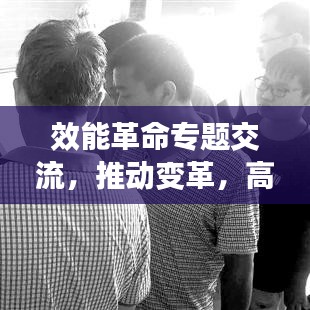 效能革命专题交流，推动变革，高效发展之路