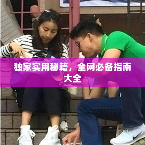 独家实用秘籍，全网必备指南大全