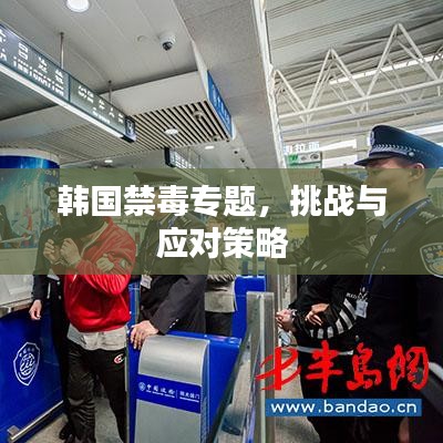 韩国禁毒专题，挑战与应对策略