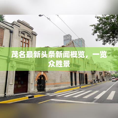 茂名最新头条新闻概览，一览众胜景