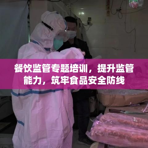 餐饮监管专题培训，提升监管能力，筑牢食品安全防线