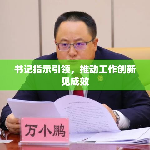 书记指示引领，推动工作创新见成效
