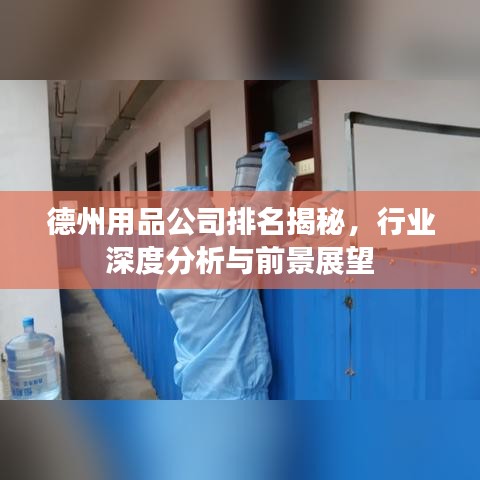 德州用品公司排名揭秘，行业深度分析与前景展望