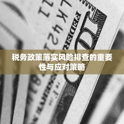 税务政策落实风险排查的重要性与应对策略