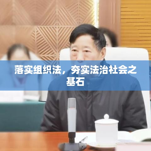 落实组织法，夯实法治社会之基石
