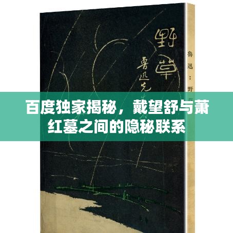 百度独家揭秘，戴望舒与萧红墓之间的隐秘联系