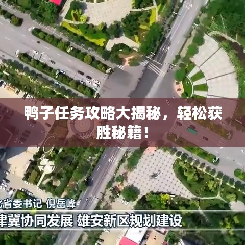 鸭子任务攻略大揭秘，轻松获胜秘籍！