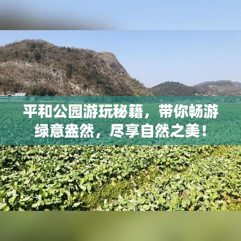 笃新怠旧 第3页