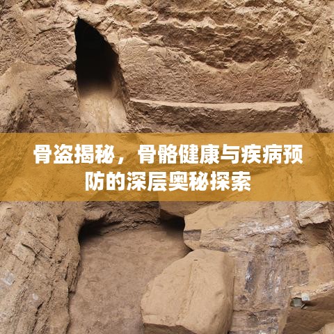 骨盗揭秘，骨骼健康与疾病预防的深层奥秘探索