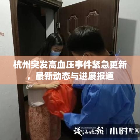 杭州突发高血压事件紧急更新，最新动态与进展报道