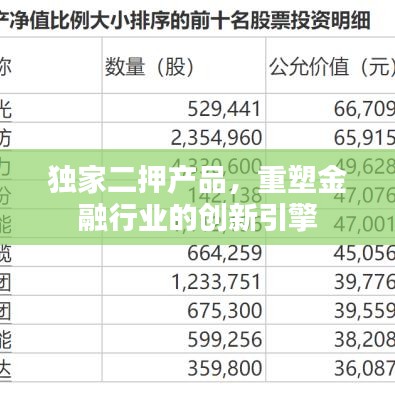 独家二押产品，重塑金融行业的创新引擎
