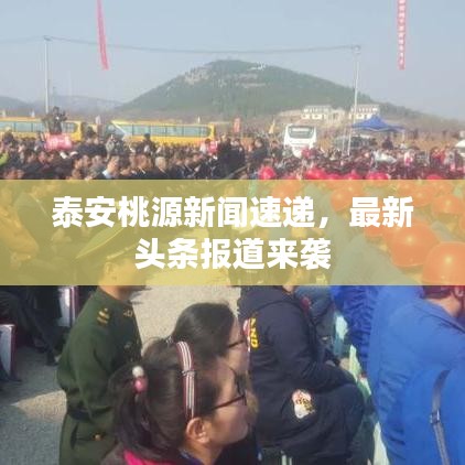 泰安桃源新闻速递，最新头条报道来袭