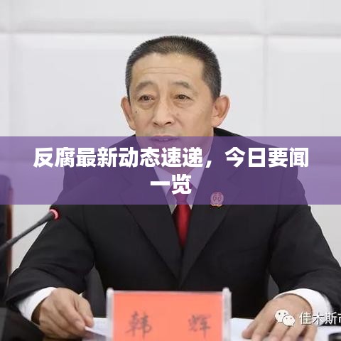 反腐最新动态速递，今日要闻一览