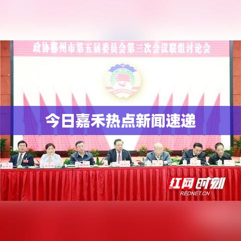 今日嘉禾热点新闻速递