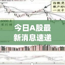 今日A股最新消息速递，股市动态一网打尽